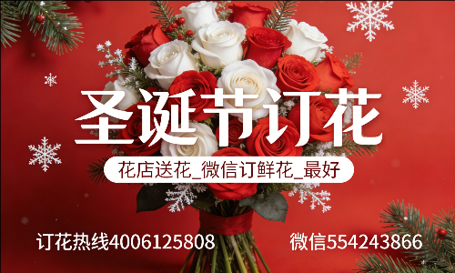 ���ݳ����л���