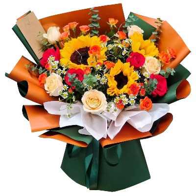 ���ݳ����л���